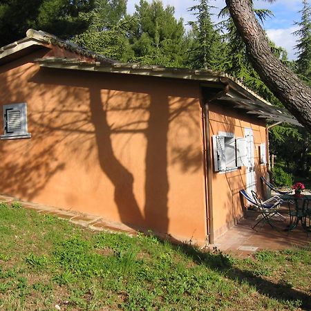 Malvarina Capodacqua  Luaran gambar