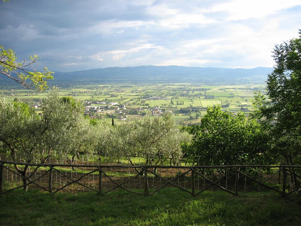 Malvarina Capodacqua  Luaran gambar